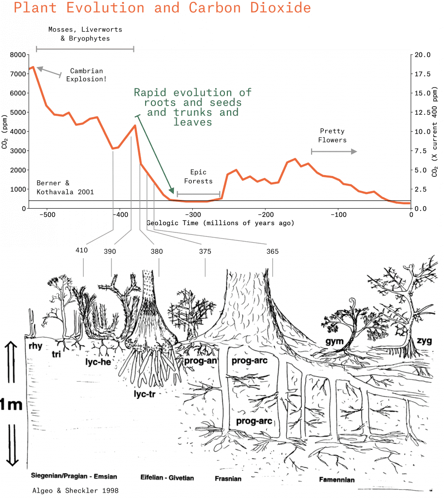 Eion Explainer Why we know that rock weathering works Eion Carbon