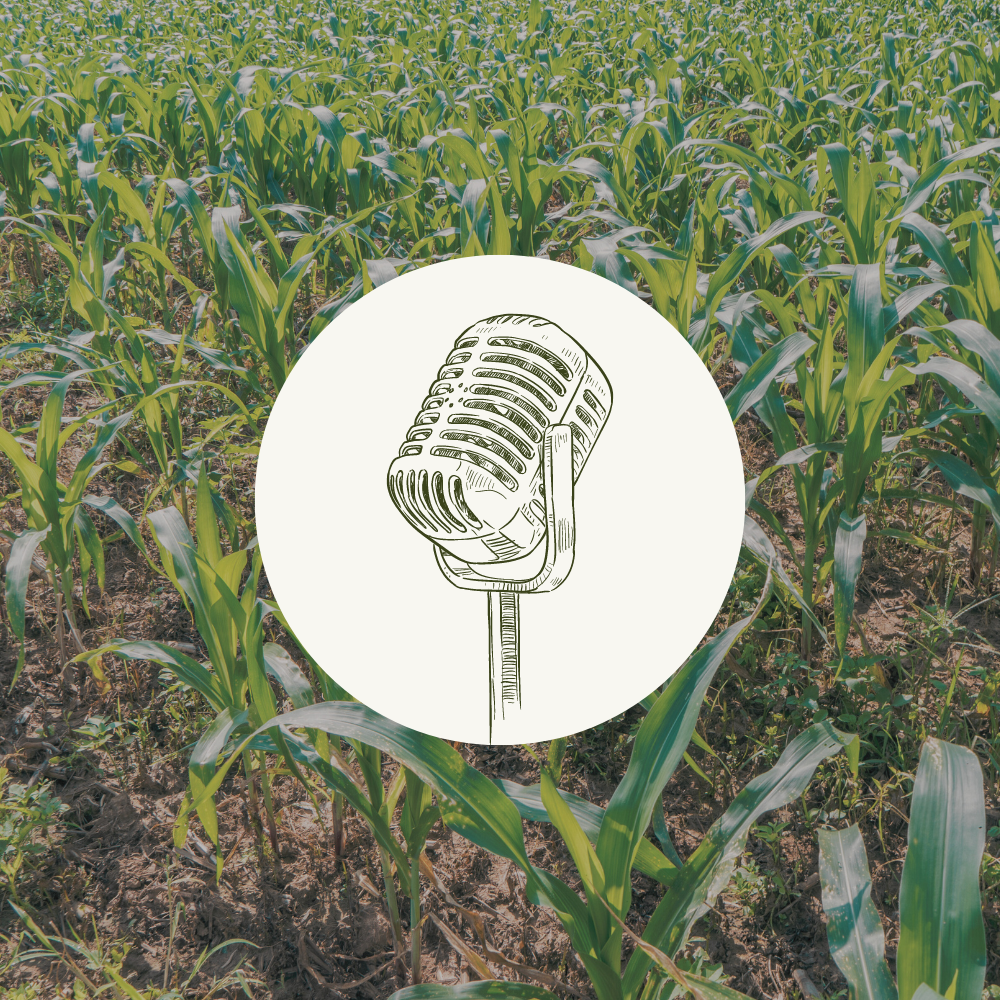 A podcast microphone graphic over a background of a farm field